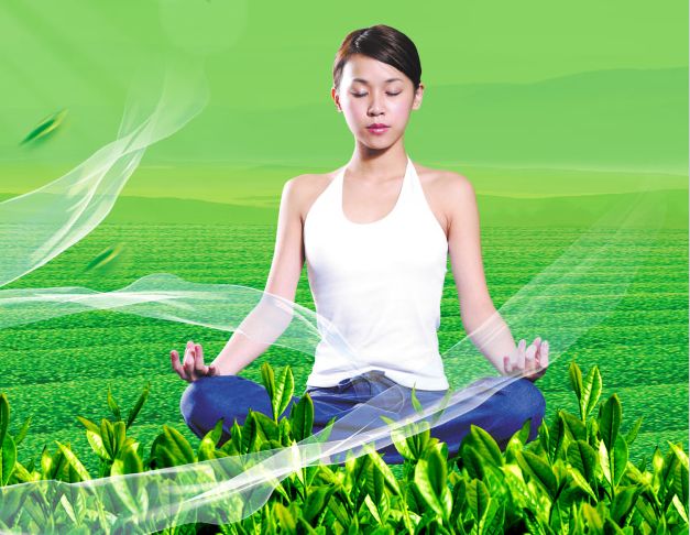 仿制普林西皮亚学院文凭毕业证